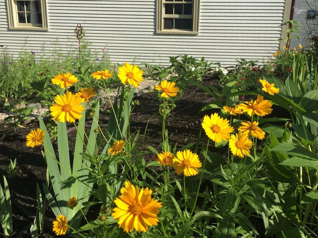 Black Boar Inn Ogunquit Zewnętrze zdjęcie